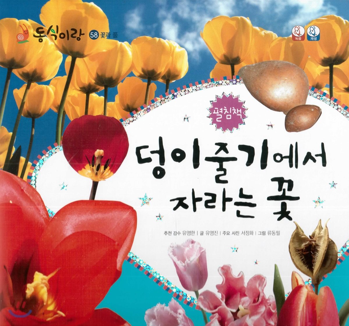 동식이랑 58 덩이줄기에서 자라는 꽃