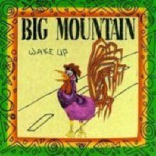 Big Mountain - Wake Up (미개봉)