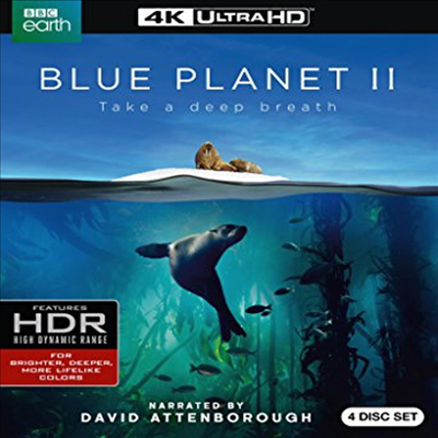 Blue Planet II ( ÷ 2) (ѱ۹ڸ)(4K Ultra HD)