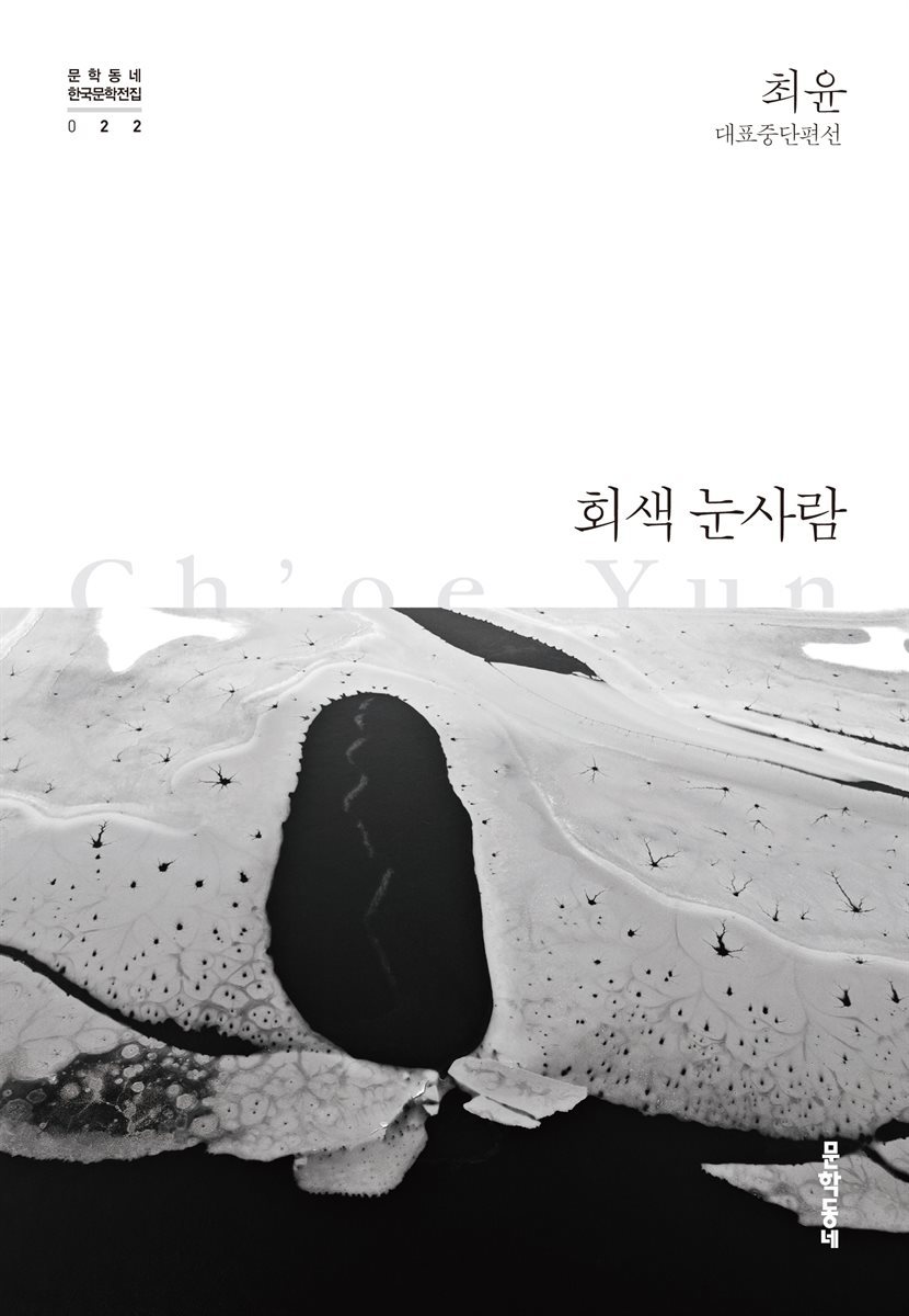 회색 눈사람 - 한국문학전집 022