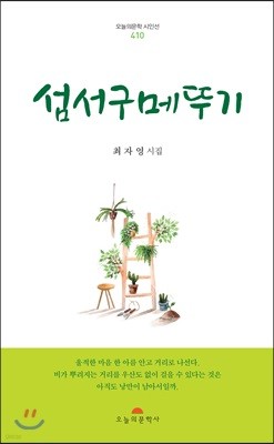 섬서구메뚜기