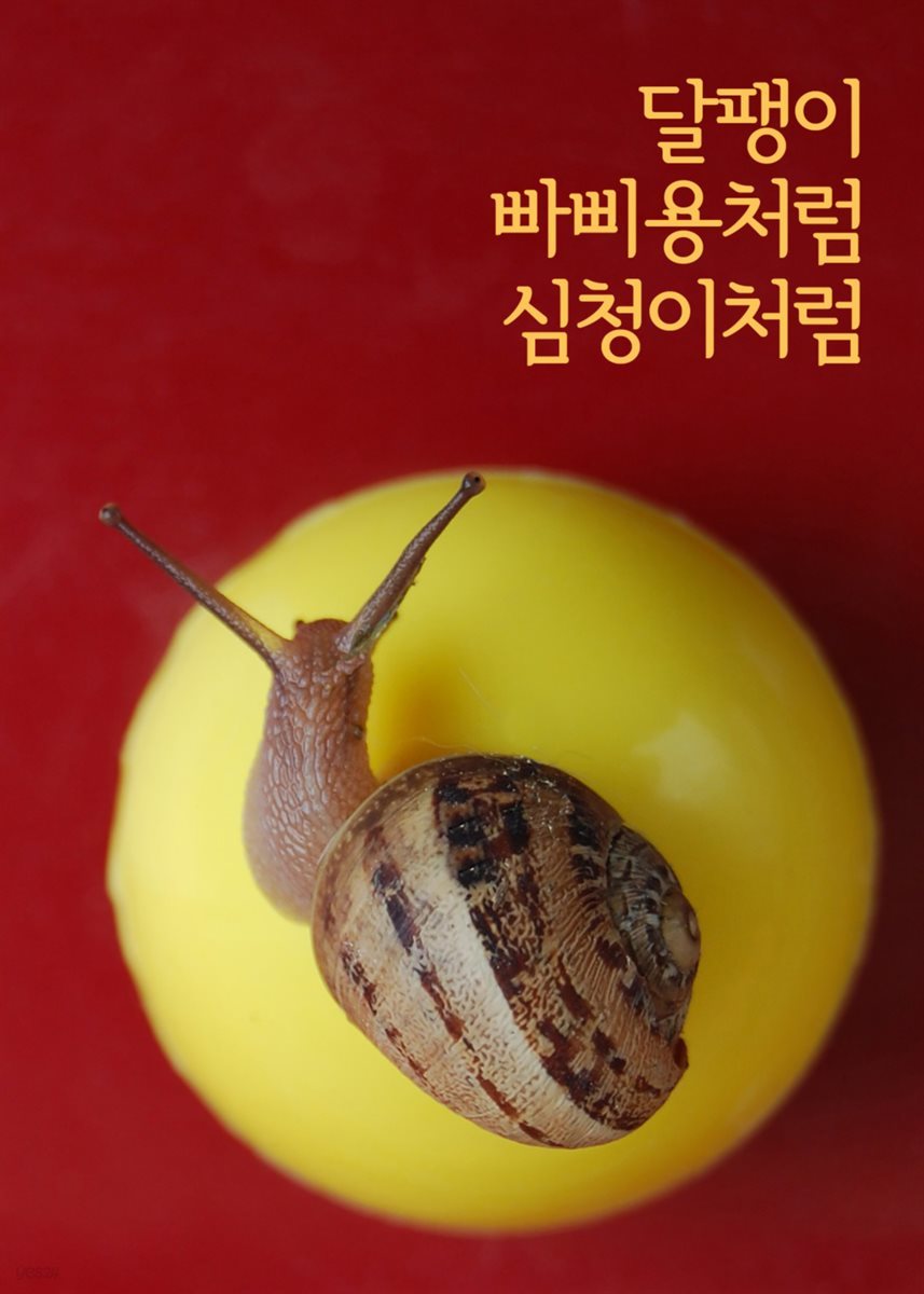 달팽이, 빠삐용처럼, 심청이처럼