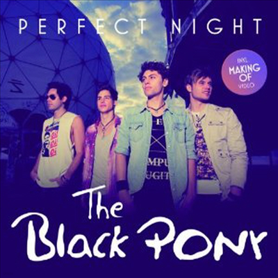 Black Pony - Perfect Night (2 Track) (Single)