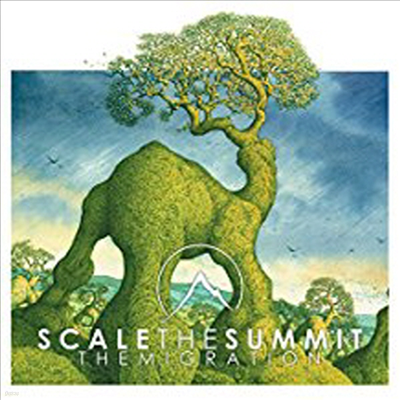 Scale The Summit - Migration (Limited Edition)(Silver LP)