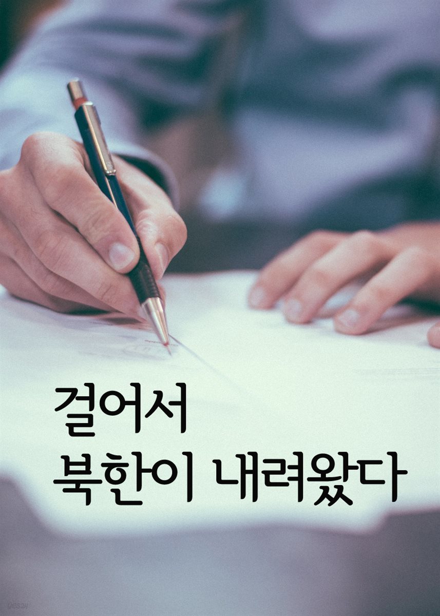 걸어서 북한이 내려왔다 : 평창동계올림픽을 위한 남북평화의 문이 열리다