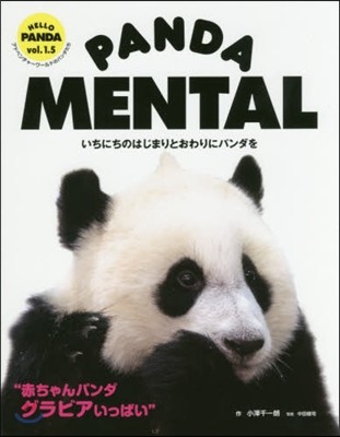 PANDA MENTAL ˪ΪϪުȪ˫ѫ