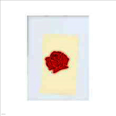 Lany — Lany (Gatefold Cover) 앨범 커버