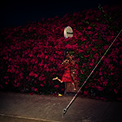 Feist - Pleasure (2LP)