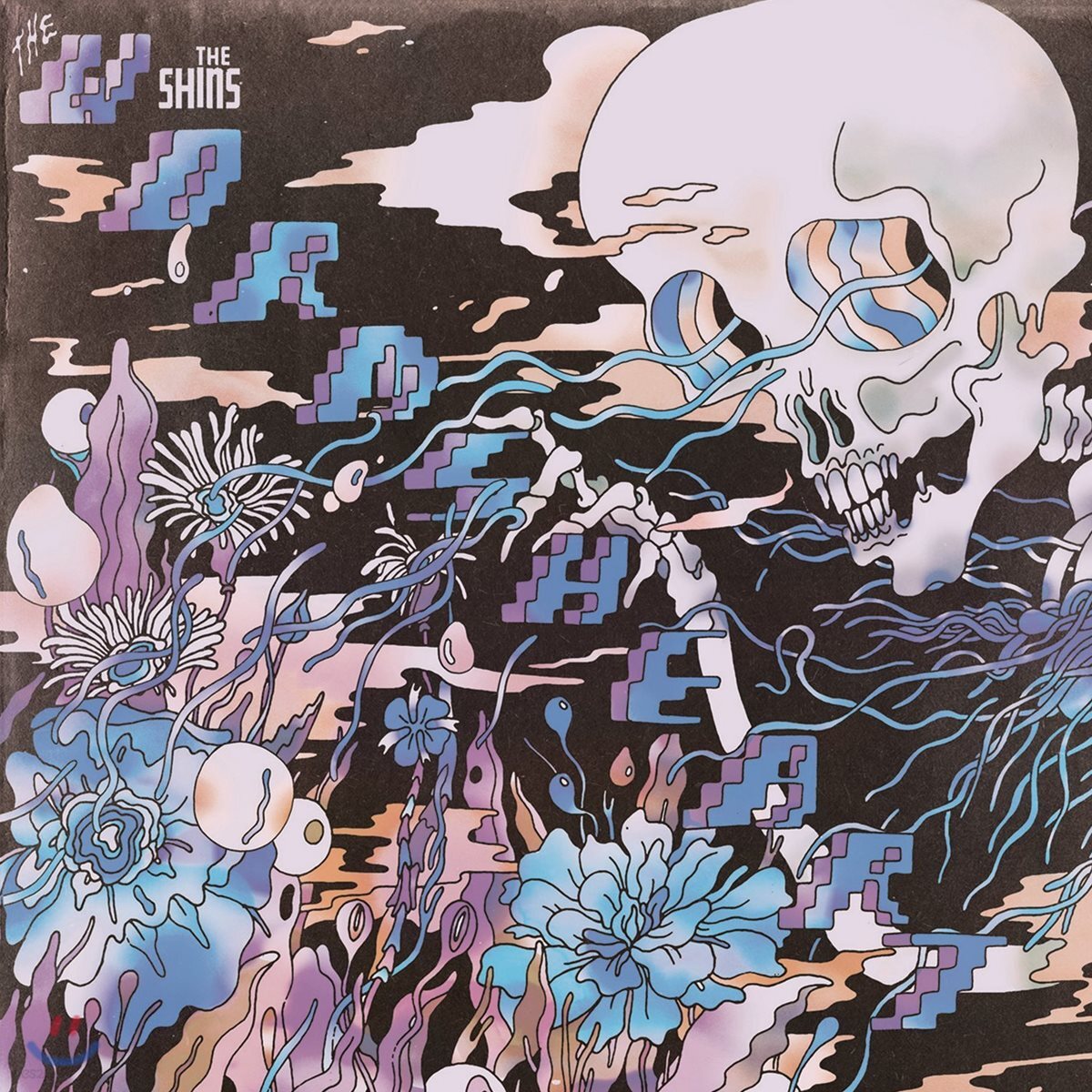 Shins (신즈) - The Worms Heart