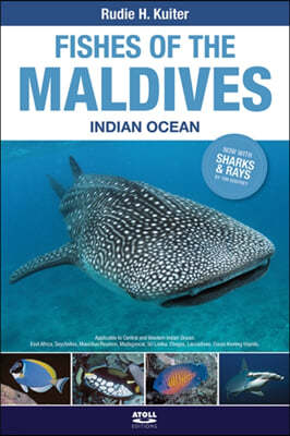 Fishes of the Maldives