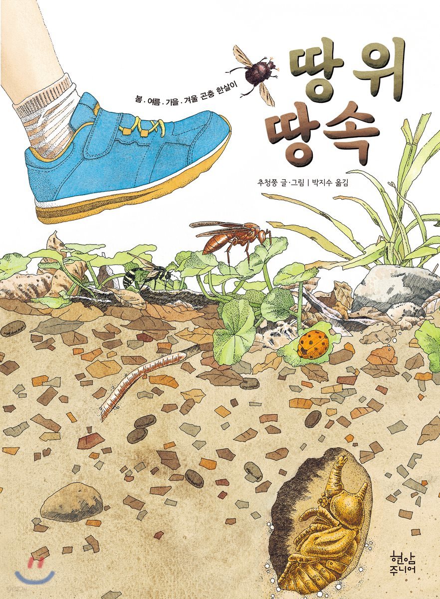 땅 위 땅속