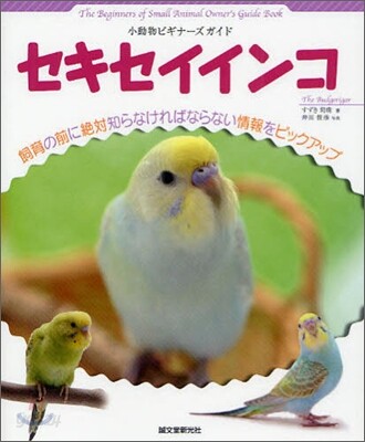小動物ビギナ-ズガイド セキセイインコ