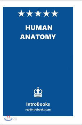 Human Anatomy