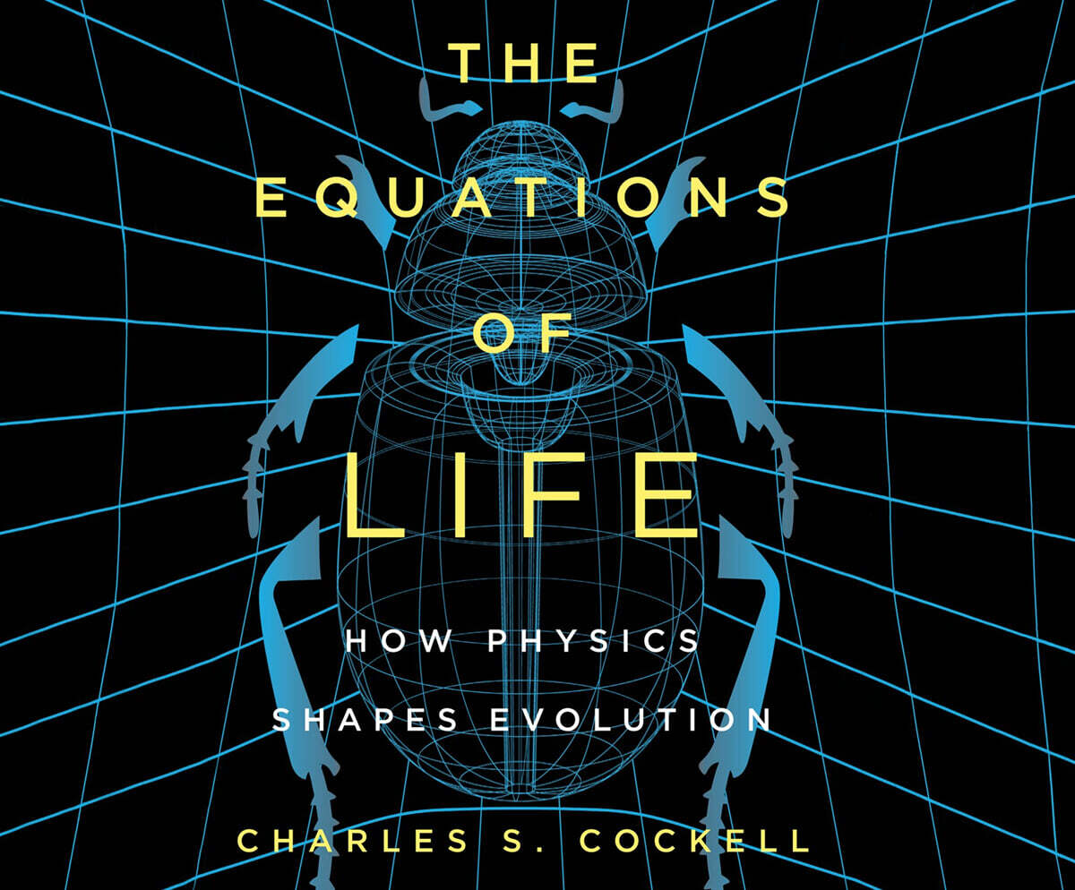 The Equations of Life: How Physics Shapes Evolution