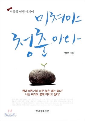미쳐야 청춘이다