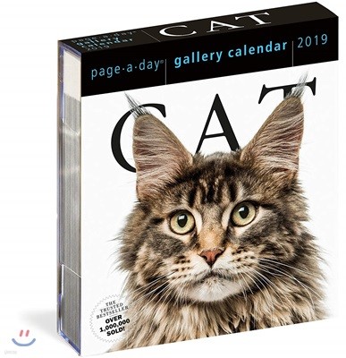 Cat Page-A-Day Gallery Calendar 2019