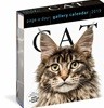 Cat Page-A-Day Gallery Calendar 2019