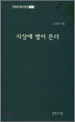 지상에 별이 뜬다