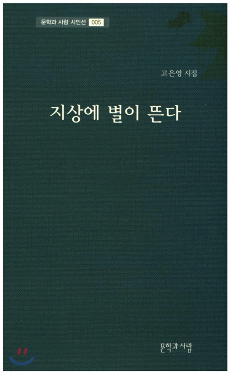 지상에 별이 뜬다