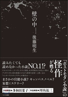 壁の中 新裝普及版