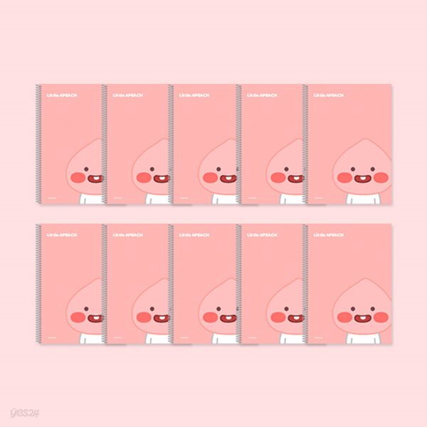 카카오프렌즈 리틀 스프링노트 세트 B