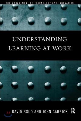 Understanding Learning at Work