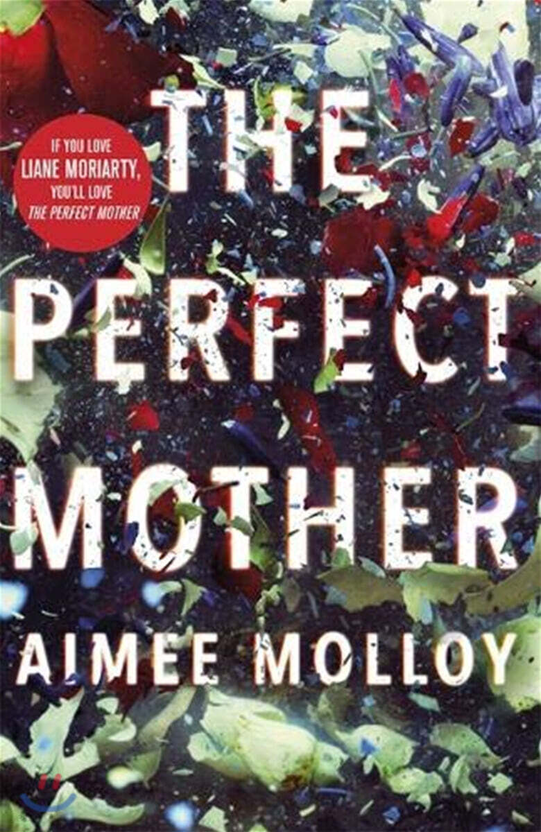 Perfect Mother