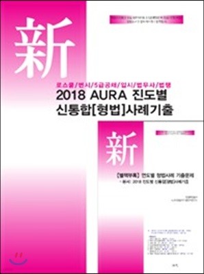 2018 AURA 진도별 신통합 형법 사례기출