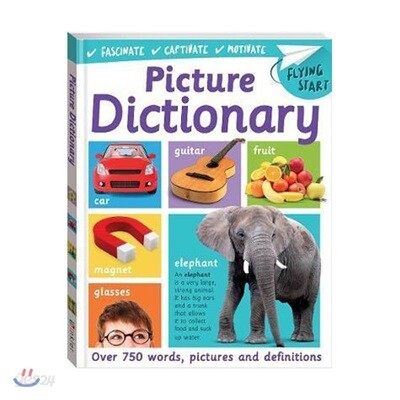Flying Start Picture Dictionary