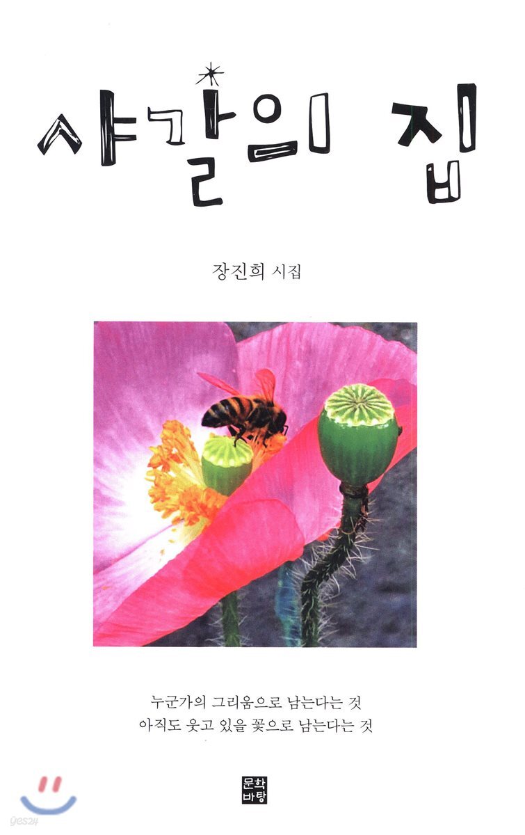 샤갈의 집