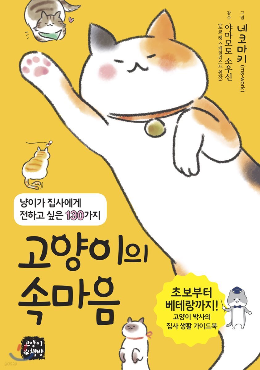 고양이의 속마음
