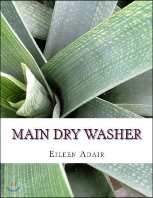 Main Dry Washer