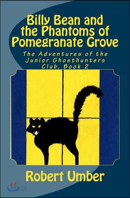 Billy Bean and the Phantoms of Pomegranate Grove