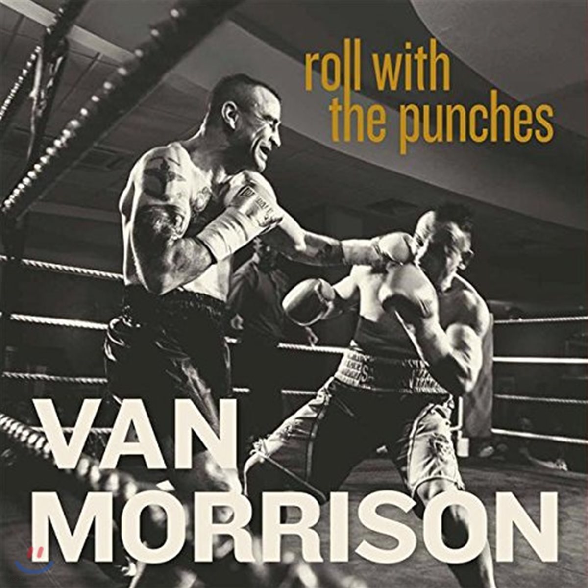 Van Morrison (밴 모리슨) - Roll With The Punches [2 LP]