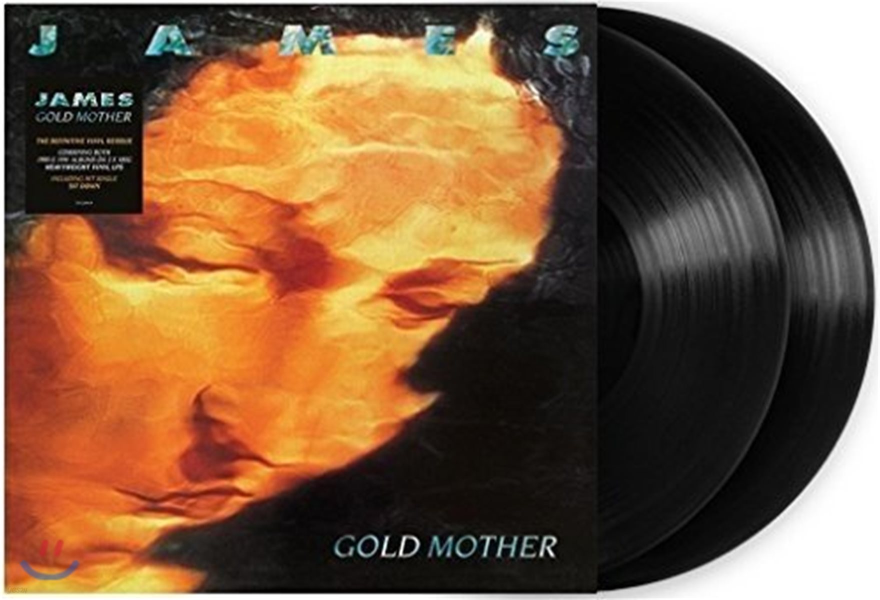 James (제임스) - Gold Mother [2 LP]