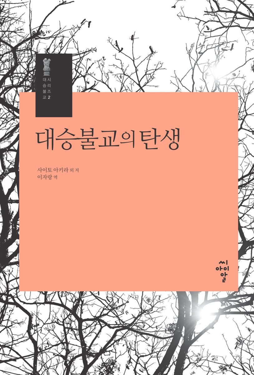 대승불교의 탄생 - 시리즈 대승불교 2
