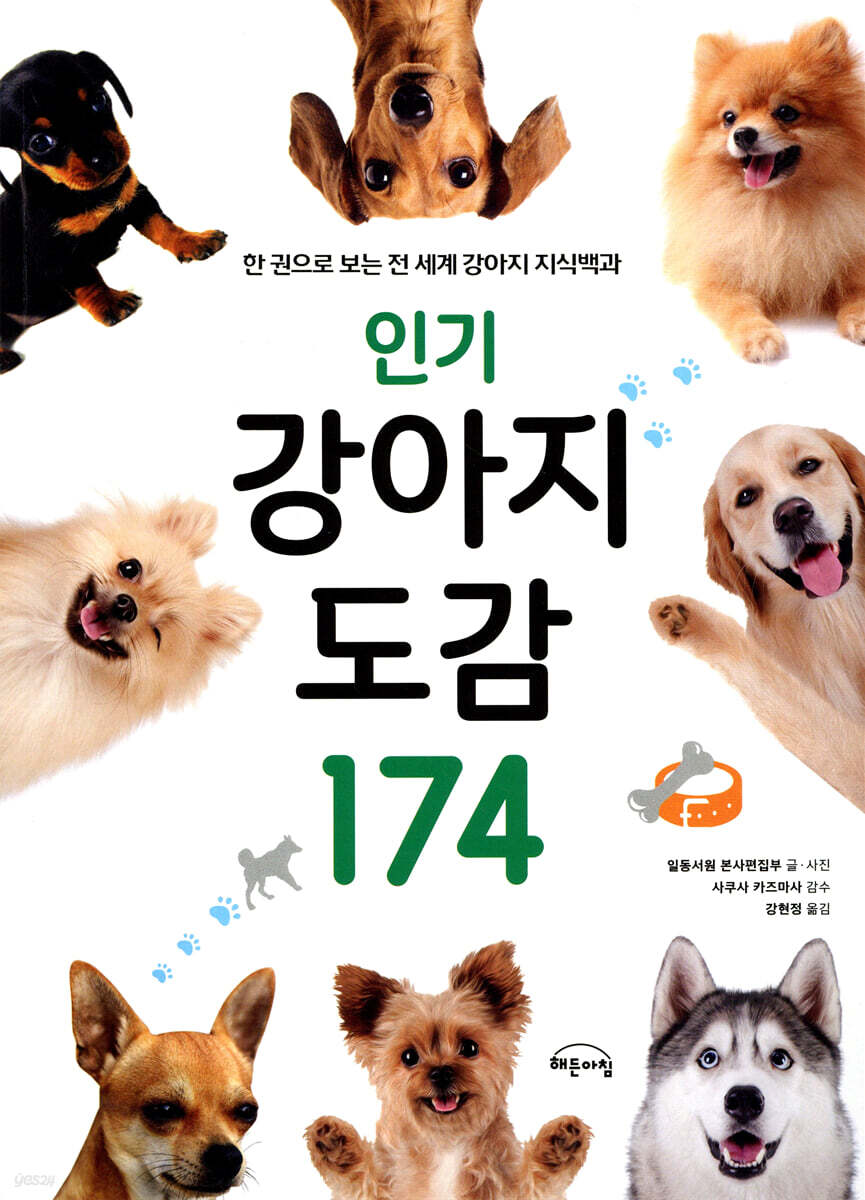 인기 강아지 도감 174