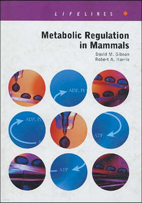 The Metabolic Regulation in Mammals