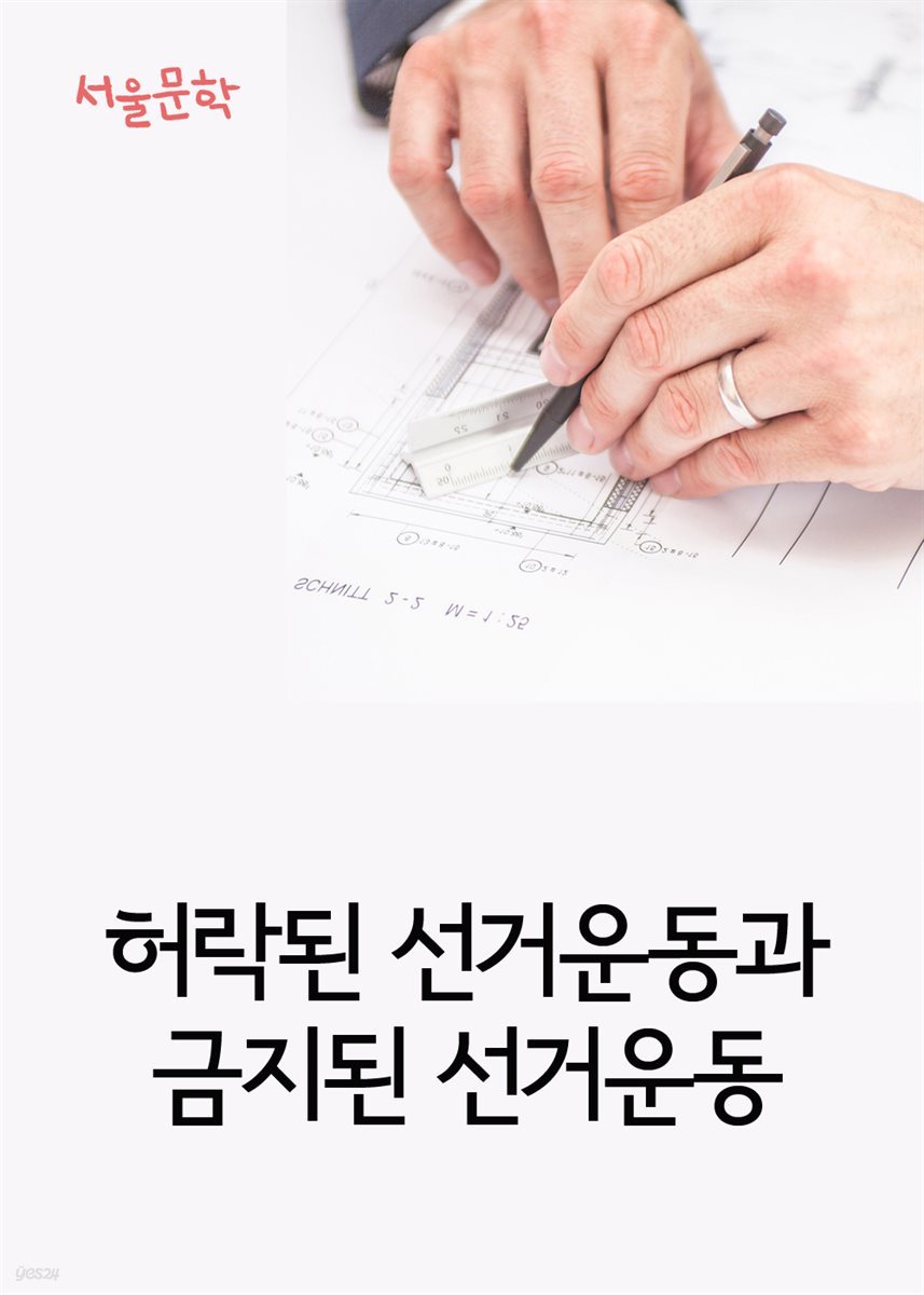 허락된 선거운동과 금지된 선거운동 : 사건과 판결문