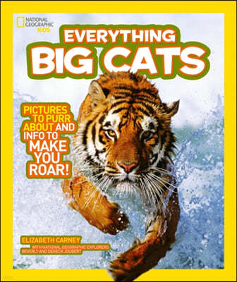 Everything: Big Cats