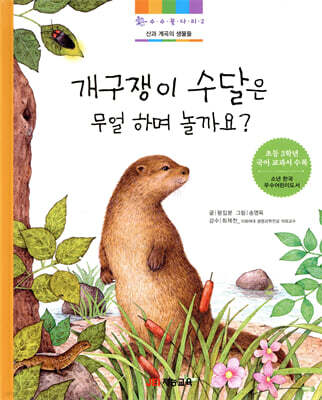 개구쟁이 수달은 무얼하며 놀까요?