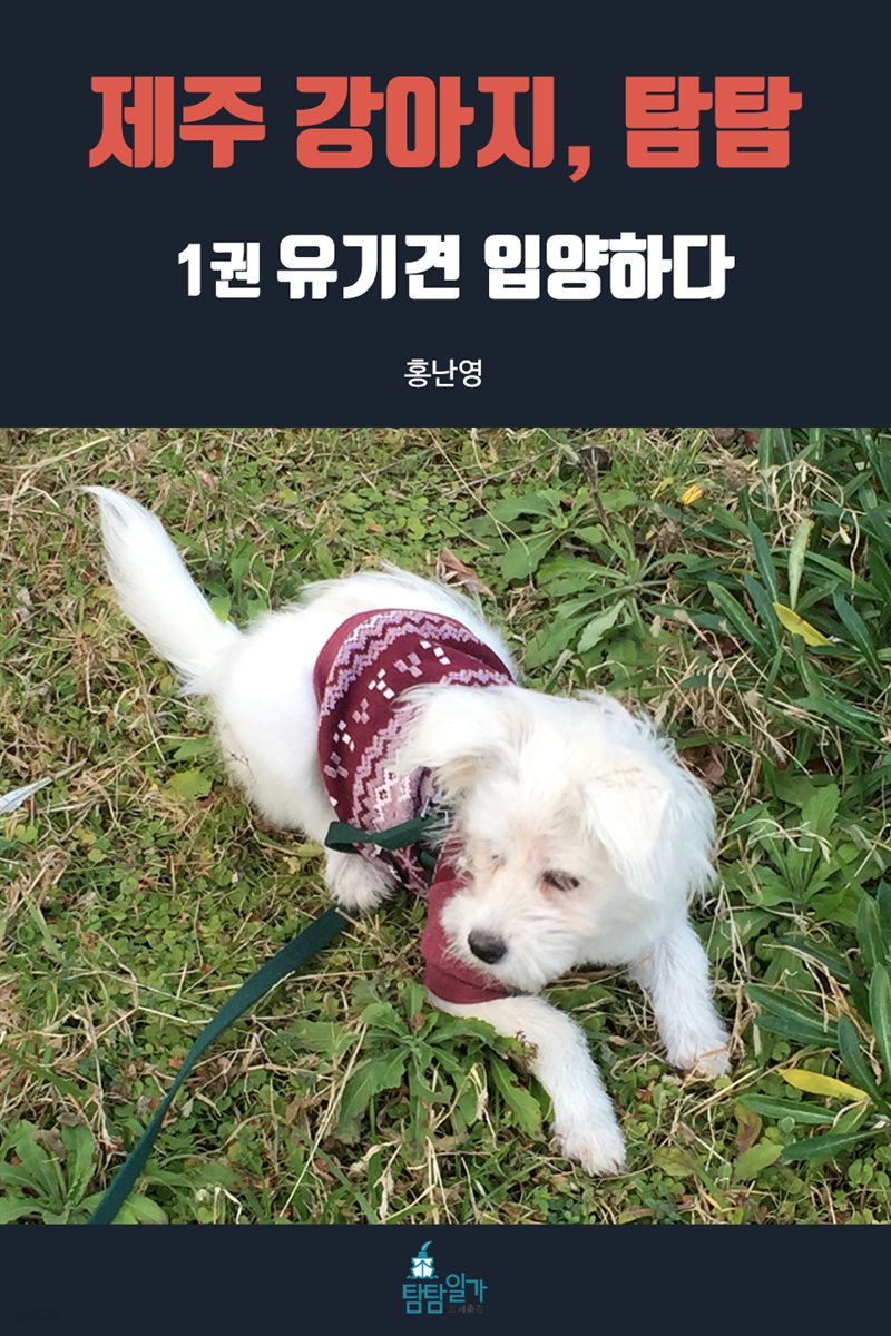 제주 강아지, 탐탐 1권