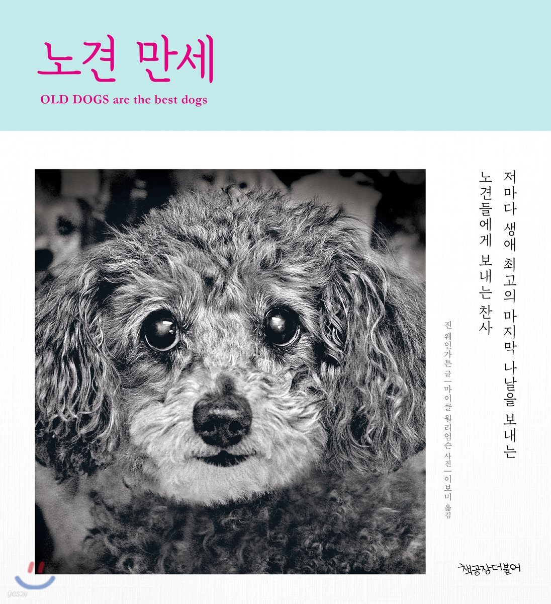 노견 만세