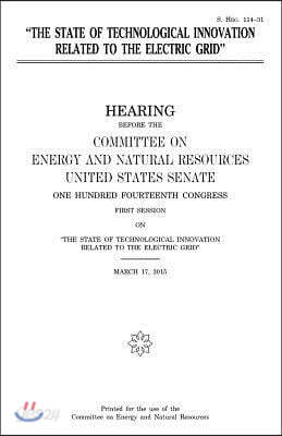The State of Technological Innovation Related to the Electric Grid