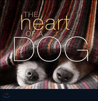 The Heart of a Dog