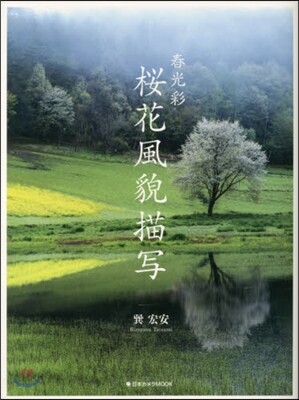 春光彩 櫻花風貌描寫