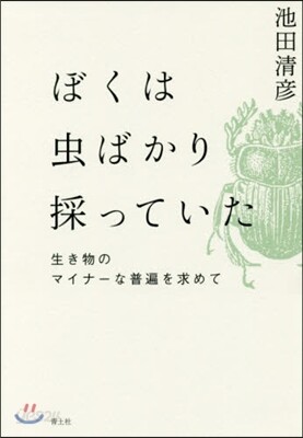 ぼくは蟲ばかり採っていた