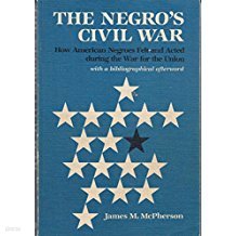 Negro's Civil War: How the Negro Felt and Acted During the War for Union (Blacks in the New World) (Paperback)