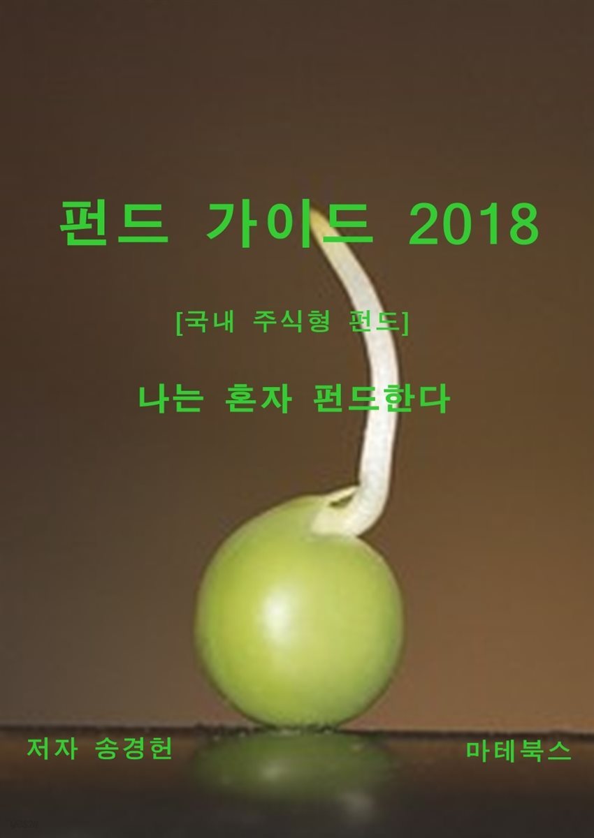 펀드 가이드 2018