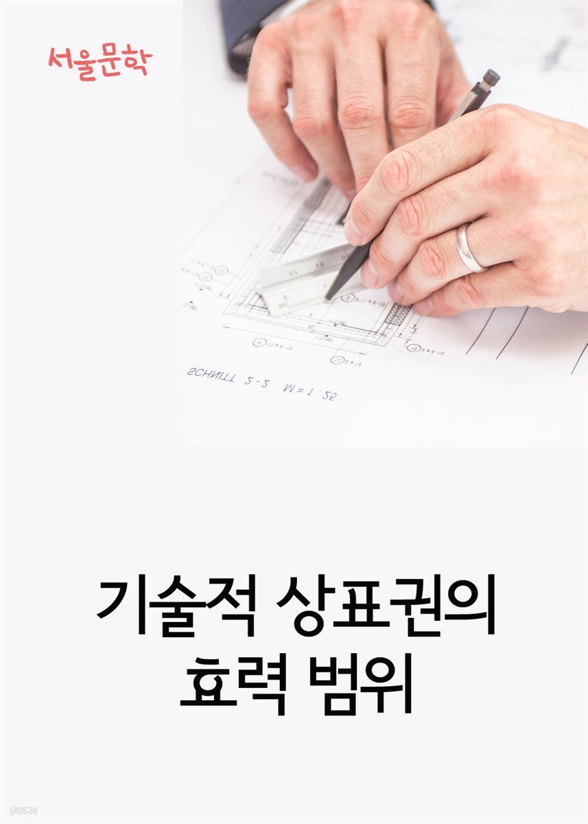 기술적 상표권의 효력 범위 : 사건과 판결문